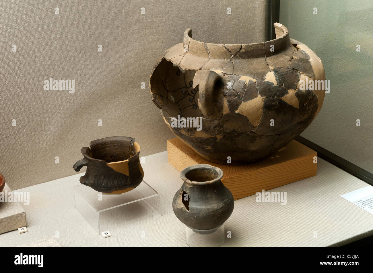 Museo provinciale - ceramica romana, Lugo, regione della Galizia, Spagna, Europa Foto Stock