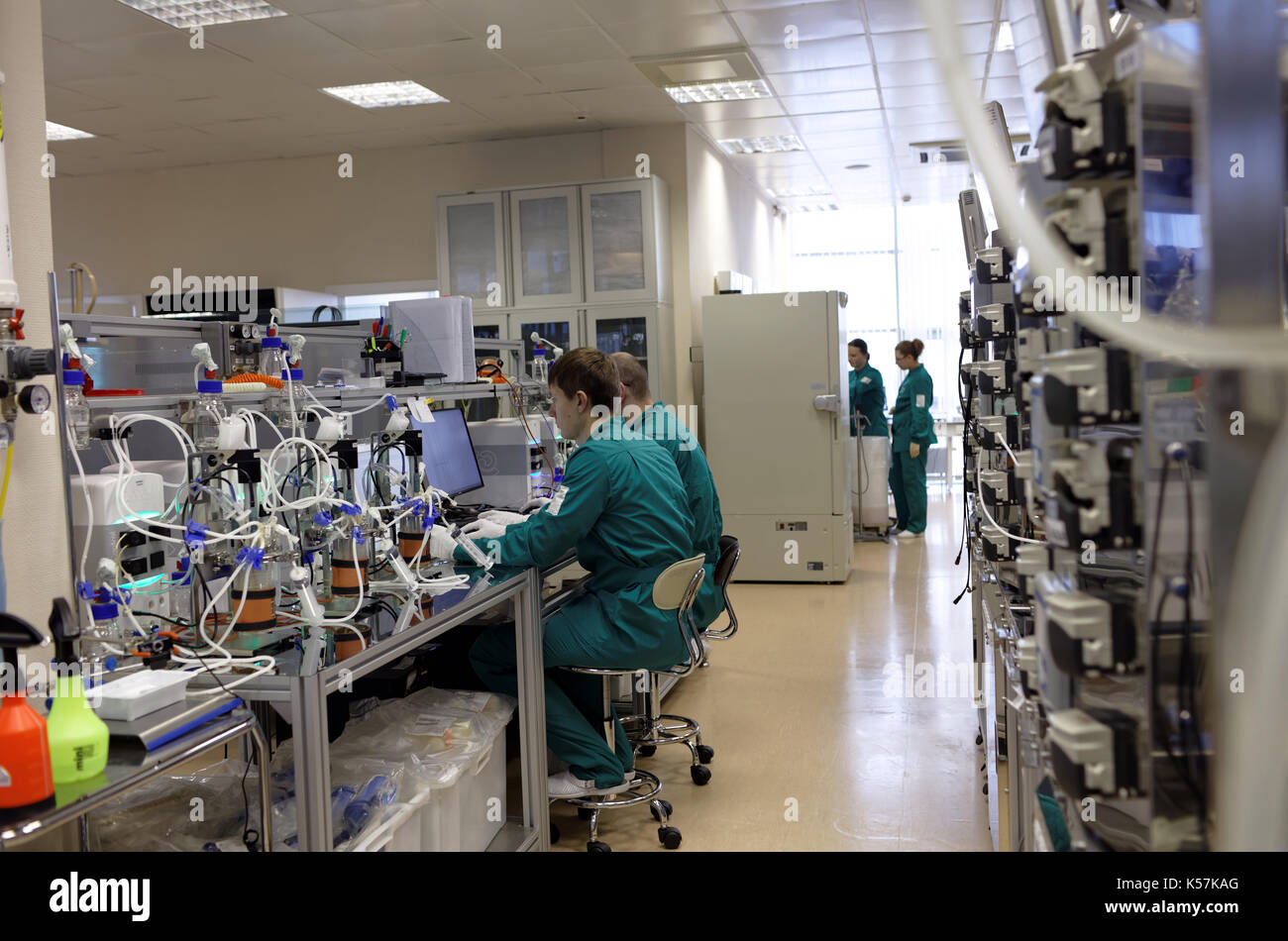 I ricercatori al lavoro nella biotecnologia High-Throughput Laboratorio di BIOCAD Foto Stock