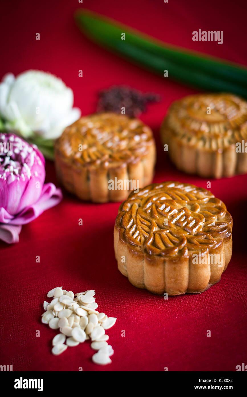 Tradizionale gourmet Cinese mooncake festosa dessert di pasticceria Foto Stock