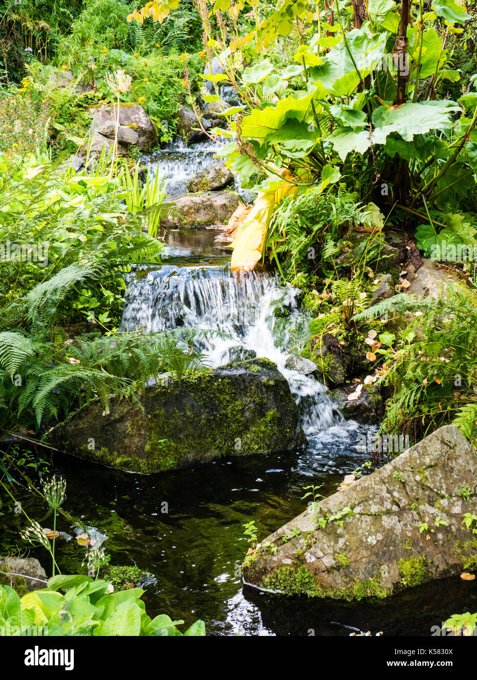 Pendii cinesi, Royal Botanic Garden Edinburgh, Edinburgh, Scozia, Regno Unito, GB. Foto Stock