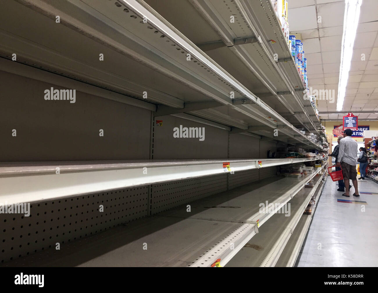 (170908) -- Miami (USA), sept. 8, 2017 (Xinhua) -- i clienti ricerca di cibo di scaffali in un supermercato a Miami, Florida, Stati Uniti, sett. 8, 2017. Secondo le previsioni per il prossimo 12-24 ore, uragano "Irma," ora valutata con 4 sul saffir-Simpson scala, si aspetta di colpire la Florida Keys e Florida del sud da sabato notte. irma è considerato il più potente uragano dell'atlantico su record. sul suo modo di Miami ha lasciato una scia di devastazione nelle isole dei Caraibi, girando i paradisi in zone di emergenza. (Xinhua/yin bogu) Foto Stock