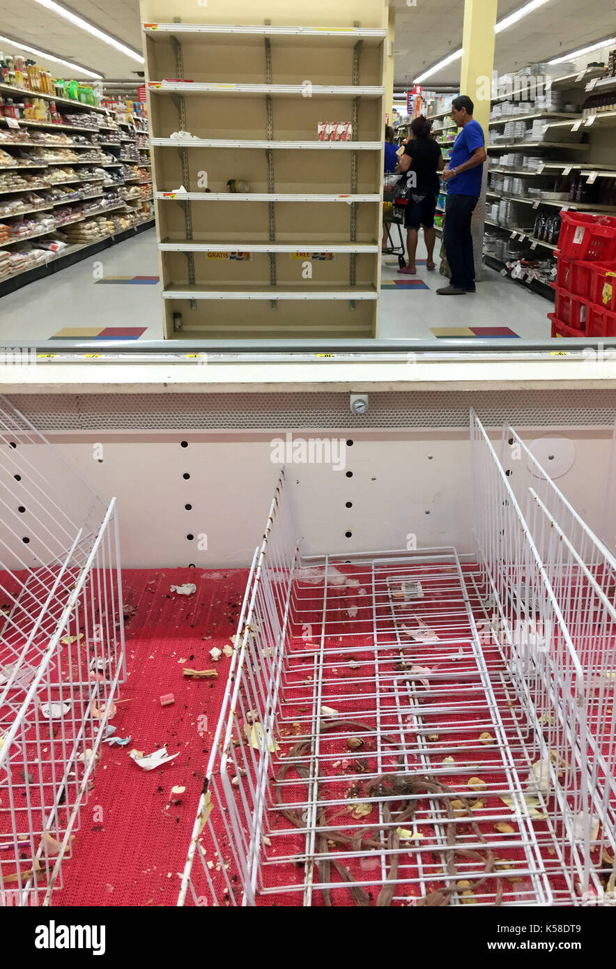 (170908) -- Miami (USA), sept. 8, 2017 (Xinhua) -- i clienti ricerca di cibo di scaffali in un supermercato a Miami, Florida, Stati Uniti, sett. 8, 2017. Secondo le previsioni per il prossimo 12-24 ore, uragano "Irma," ora valutata con 4 sul saffir-Simpson scala, si aspetta di colpire la Florida Keys e Florida del sud da sabato notte. irma è considerato il più potente uragano dell'atlantico su record. sul suo modo di Miami ha lasciato una scia di devastazione nelle isole dei Caraibi, girando i paradisi in zone di emergenza. (Xinhua/yin bogu) Foto Stock