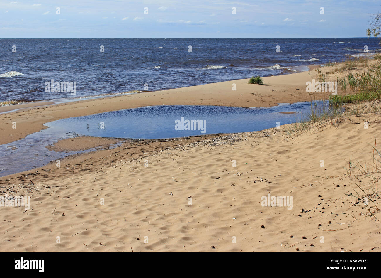 Lonely riva del lago peipus su windy giornata autunnale, Ida Virumaa, Estonia. Foto Stock