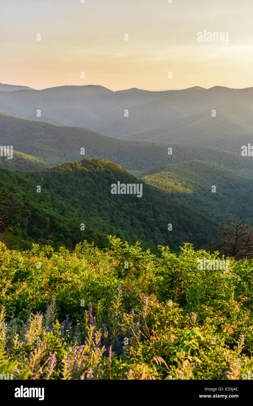 Vista della valle di Shenandoah e Blue Ridge Mountains dal parco nazionale di Shenandoah, Virginia Foto Stock