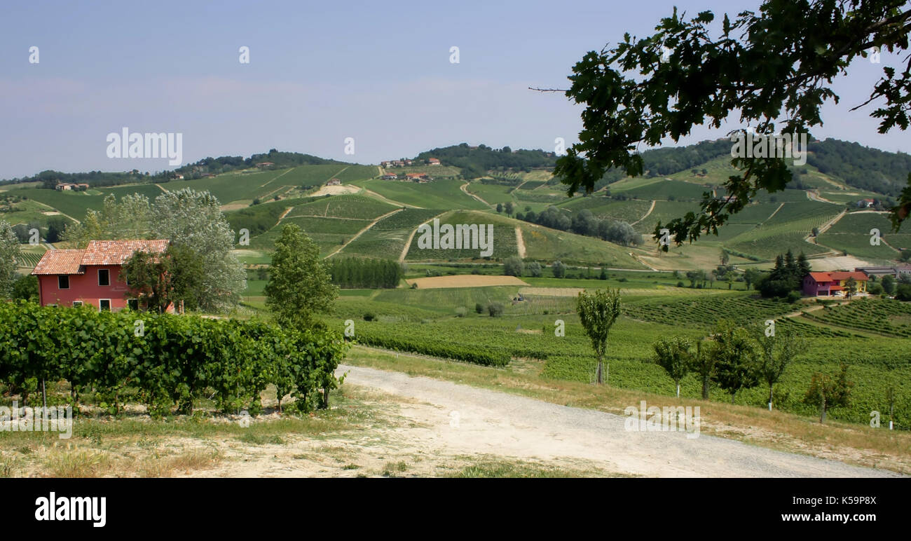 Panorama sulle colline del Monferrato (2) Foto Stock