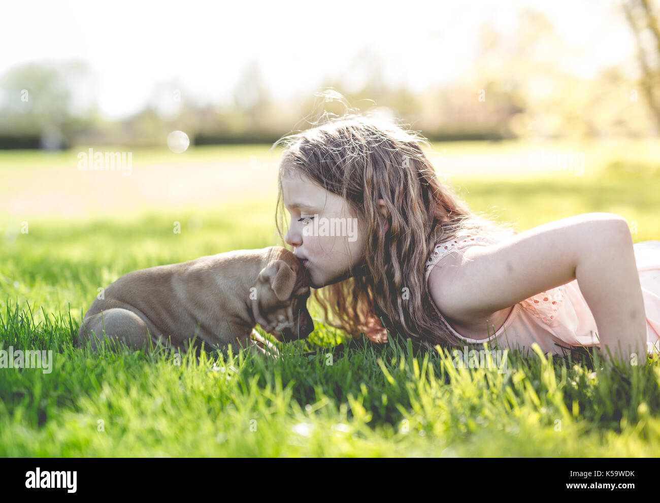 Incantevole piccola ragazza con il suo buffo cane Boxer Foto Stock