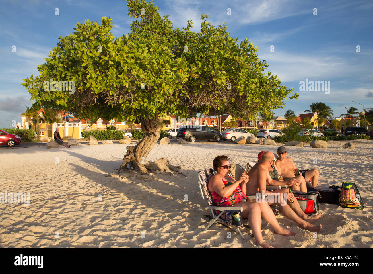 Eagle beach, Aruba - 15 marzo 2017: vista di Eagle beach, aruba al tramonto con divi divi tree e turisti. Foto Stock