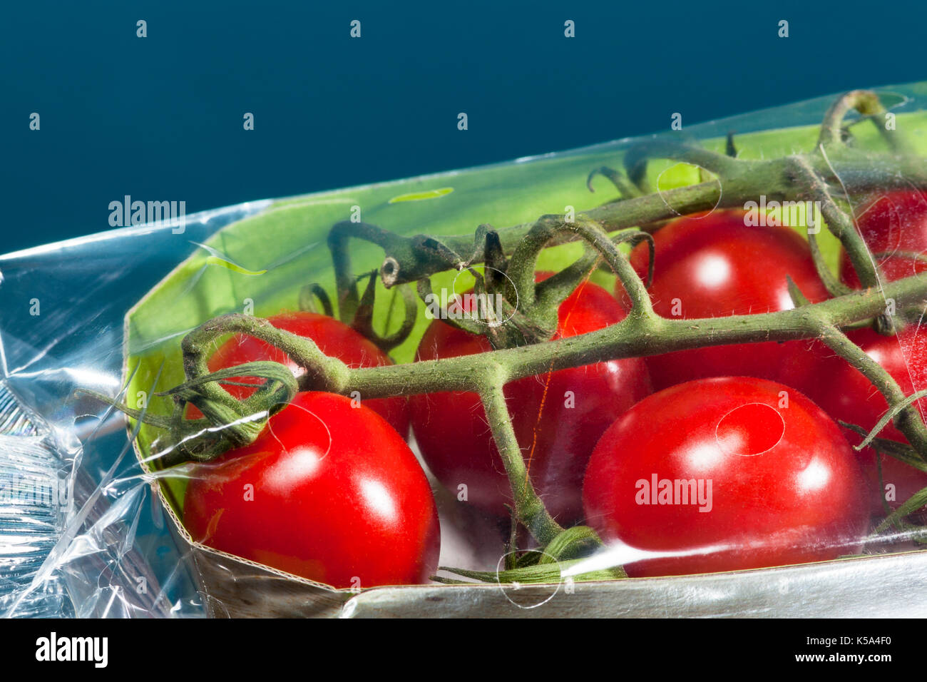 Primo piano di pomodori confezionati in plastica con uno sfondo blu Foto Stock