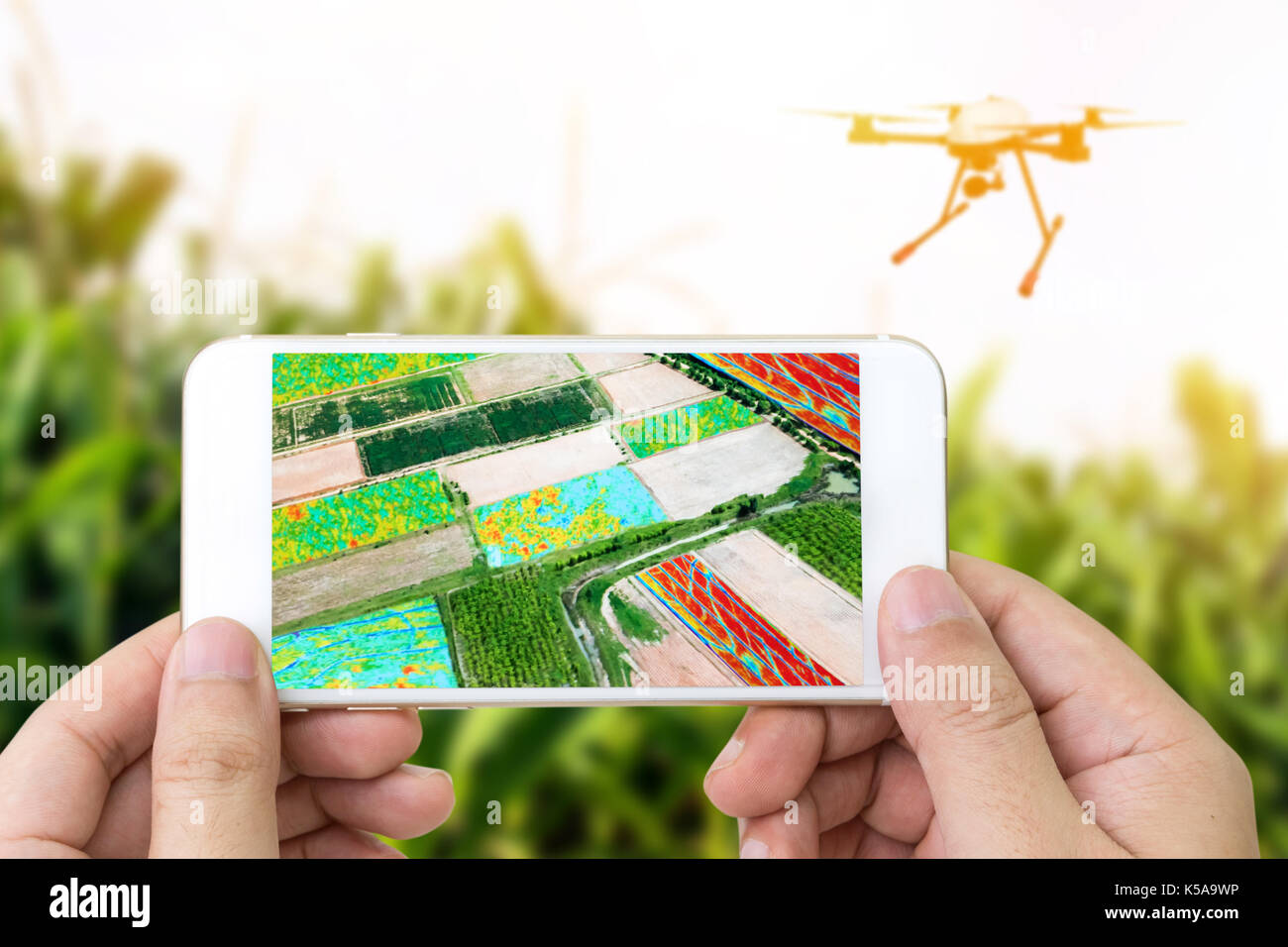 Smart agricoltura , agriturismo , precision farming concetto. Drone NIR e di elaborazione delle immagini dello schermo dell'applicazione utilizzata per creare il campo di mappe di salute per normaliz Foto Stock