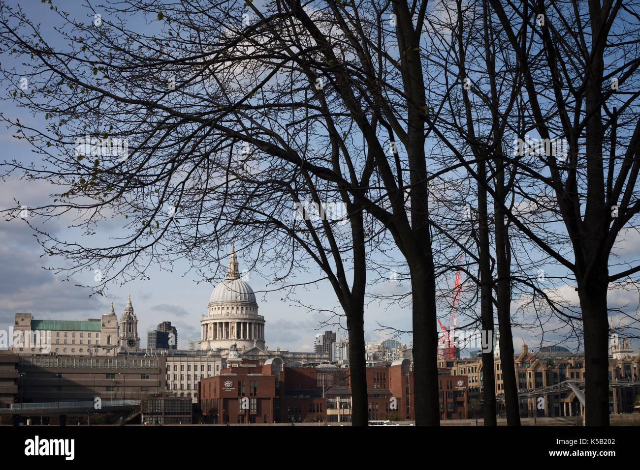 Vista di alberi e la cattedrale di St Paul, Londra, Inghilterra Foto Stock