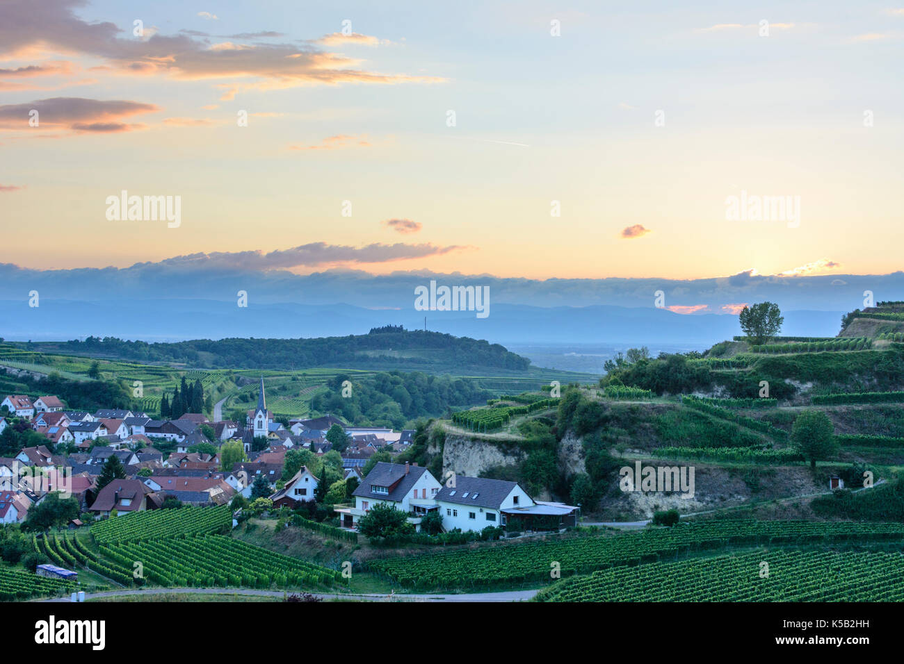 Villaggio Bickensohl, vigneto, di vigneti e di vino, Vogtsburg im Kaiserstuhl, Kaiserstuhl, Baden-Württemberg, Germania Foto Stock