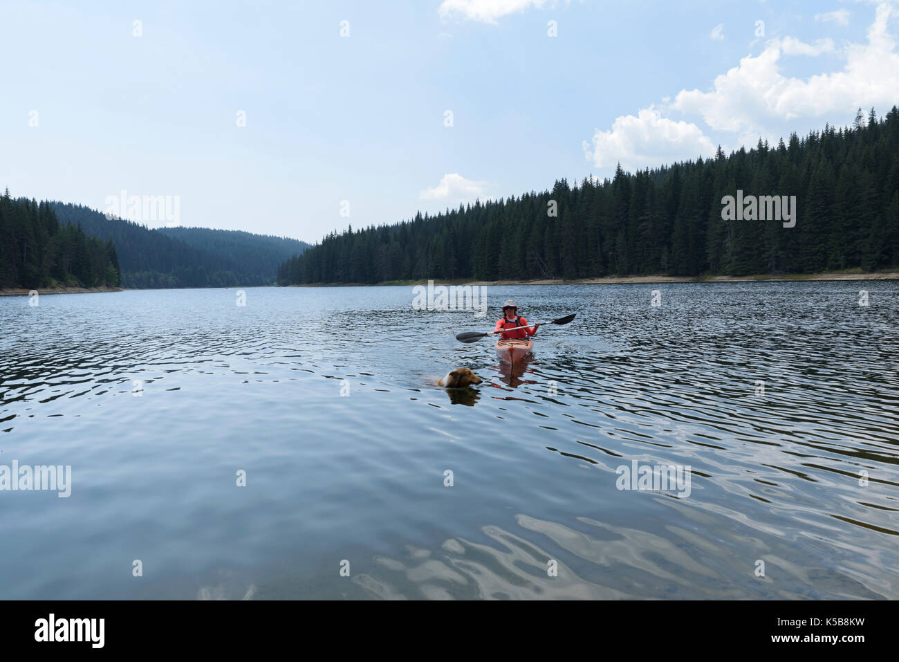 40 anni vecchia donna paddling accompagnato dal cane Foto Stock