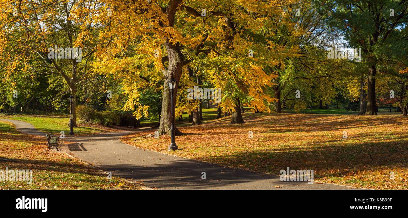 Panoramica vista di mattina di Central Park in pieno i colori dell'autunno. Manhattan, New York City Foto Stock