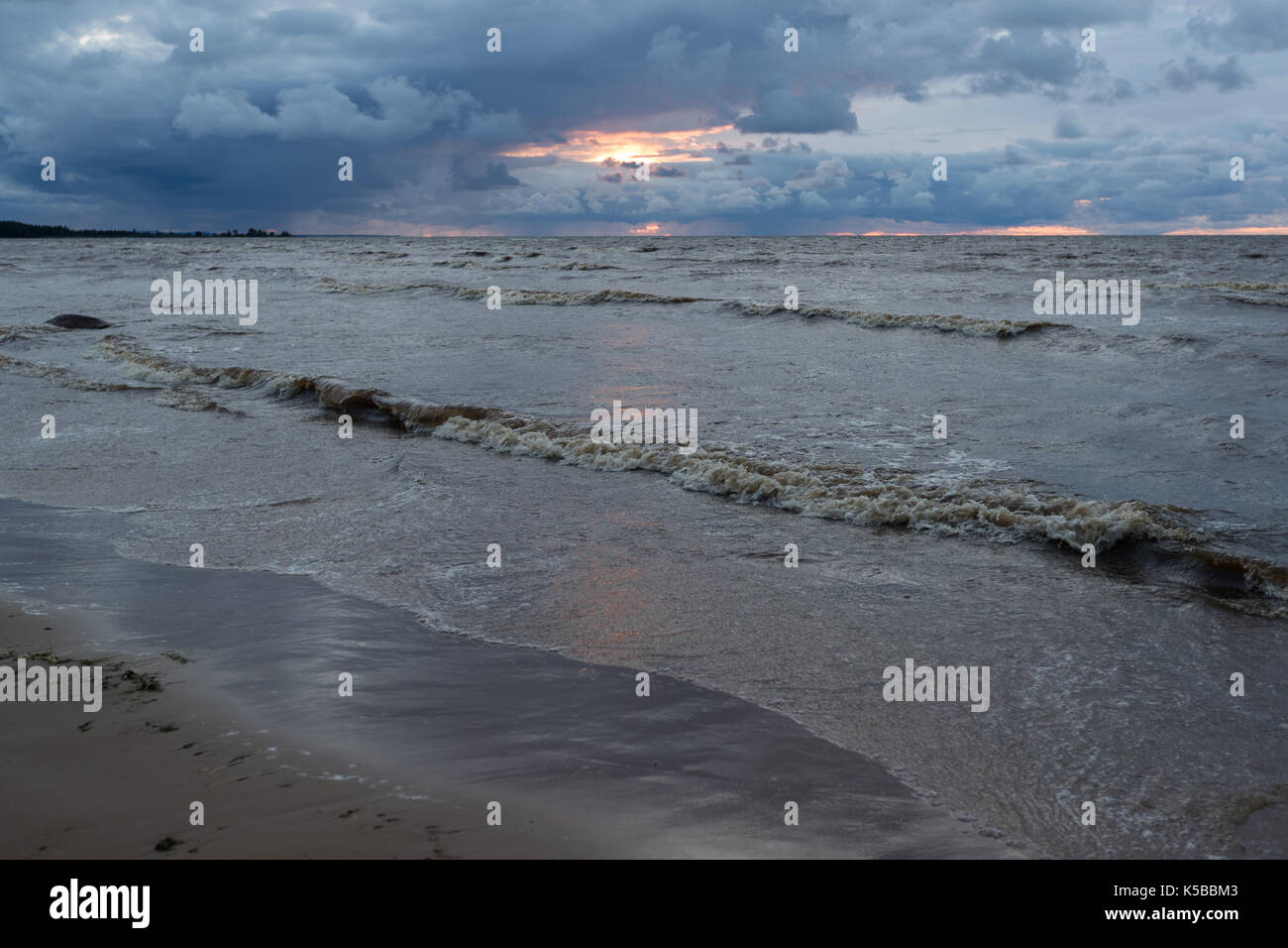 Wild beach. mar baltico. il golfo di Finlandia e Russia Foto Stock