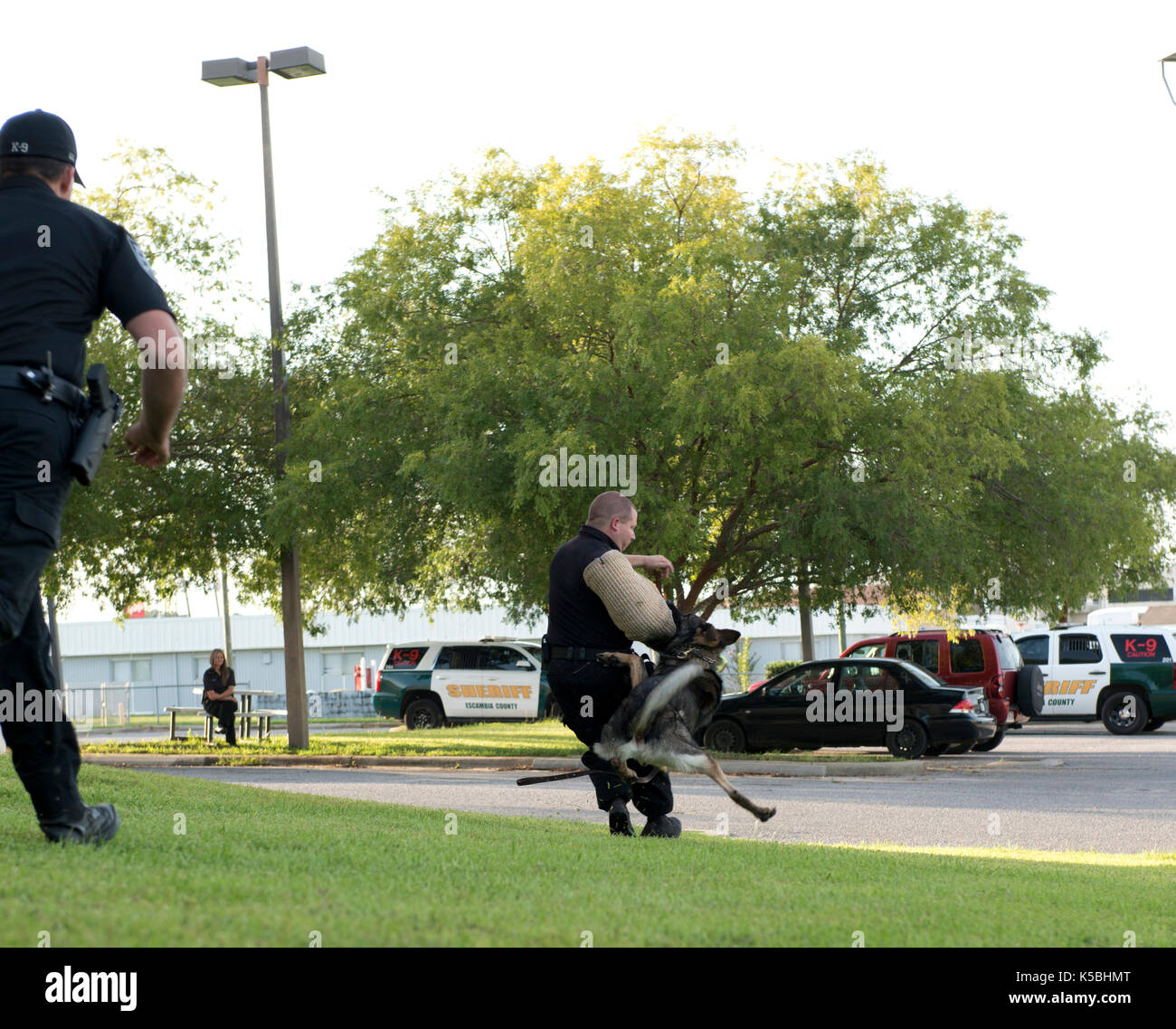 La polizia k-9 dimostrazione a escambia county sheriff in Pensacola, Florida Foto Stock