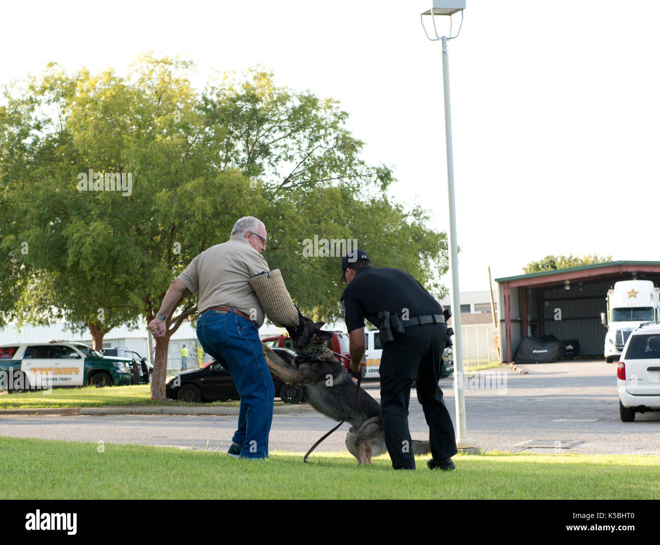 La polizia k-9 dimostrazione a escambia county sheriff in Pensacola, Florida Foto Stock