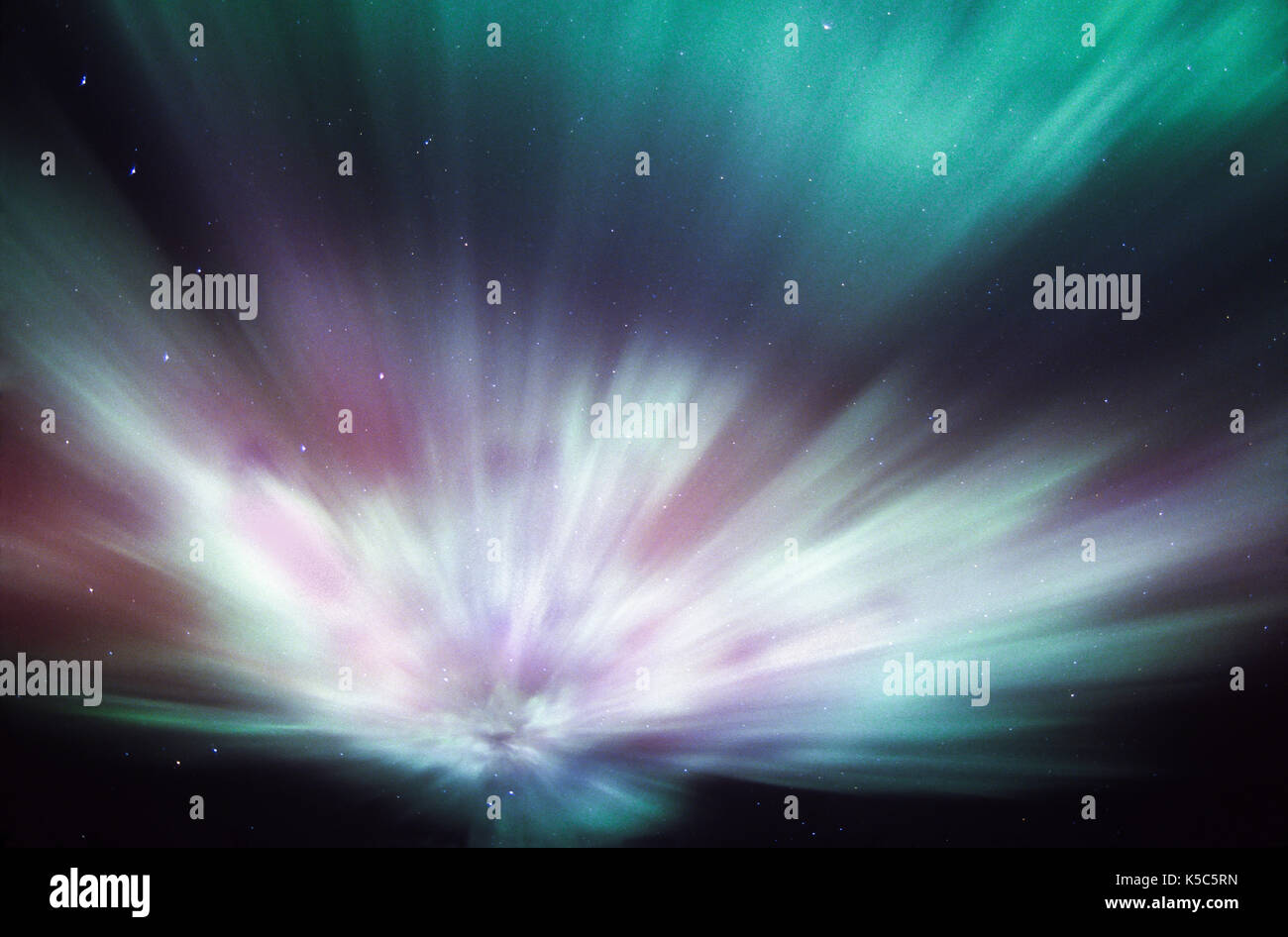 Aurora boreale; Northern lights; big dipper; north star, Alaska Foto Stock