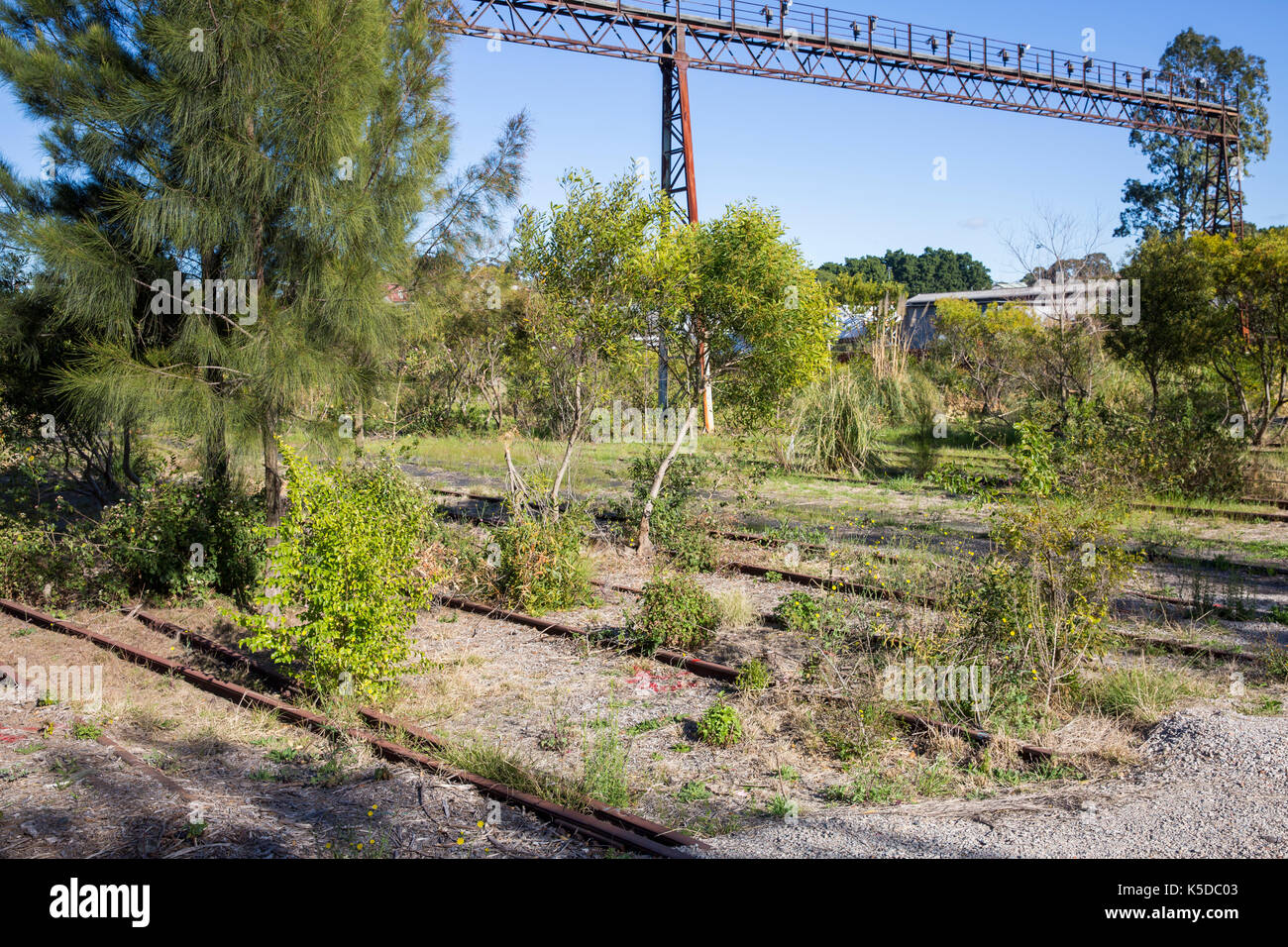 I derelitti e in disuso Rozelle cantieri ferroviari ora prevista per essere sviluppati per la Rozelle interchange parte dell'autostrada westconnex progetto in Sydney, Foto Stock