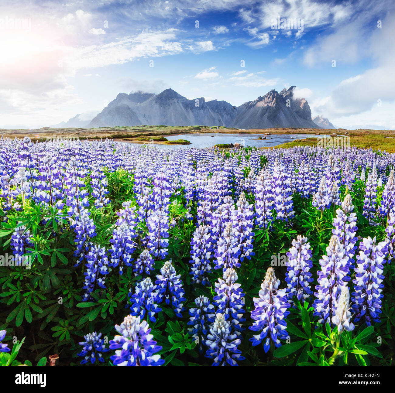 Pittoresche vedute del fiume e le montagne in Islanda Foto Stock