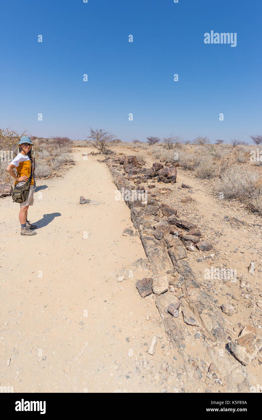 Impietrito e mineralizzazione del tronco di albero. Tourist nel famoso Parco Nazionale della Foresta Pietrificata a Khorixas, Namibia, Africa. 280 milioni di anni woodlan Foto Stock
