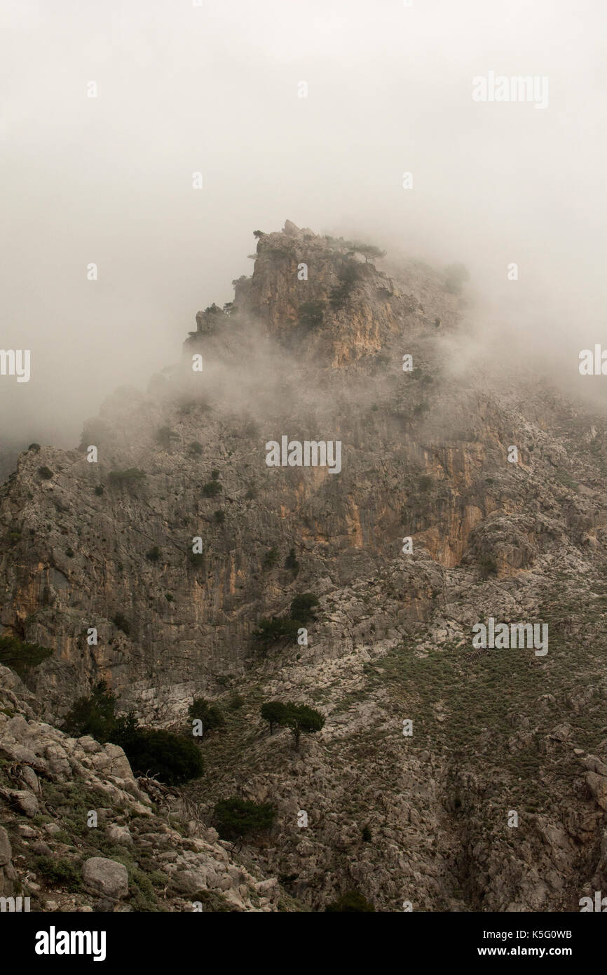 Rouvas Gorge è un profondo canyon di calcare in esecuzione dalla montagna Psiloritis verso la costa sud di Creta. Oggi è una popolare escursione per expe Foto Stock