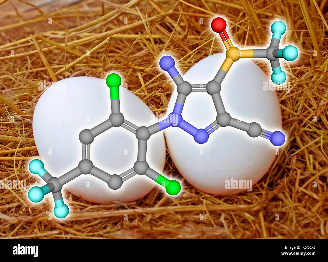 Fipronile insetticida, sfera e stick modello molecolare sovrapposti di un nido di polli con due uova. Gli atomi sono rappresentati come sfere con codifica colore: carbonio (grigio), Ossigeno (rosso), Azoto (blu), cloro (verdi), fluoro (ciano), zolfo (giallo). Idrogeni sono nascosti Foto Stock