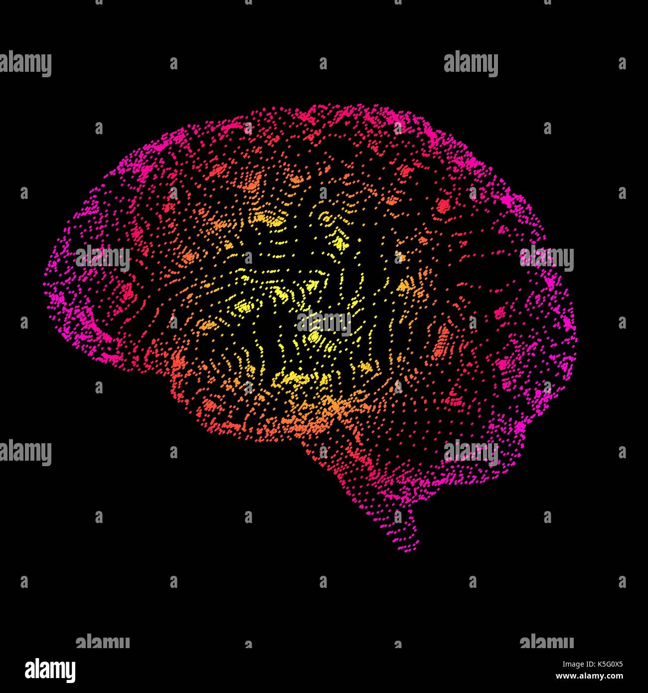 Cervello umano, concettuale computer grafica. Foto Stock