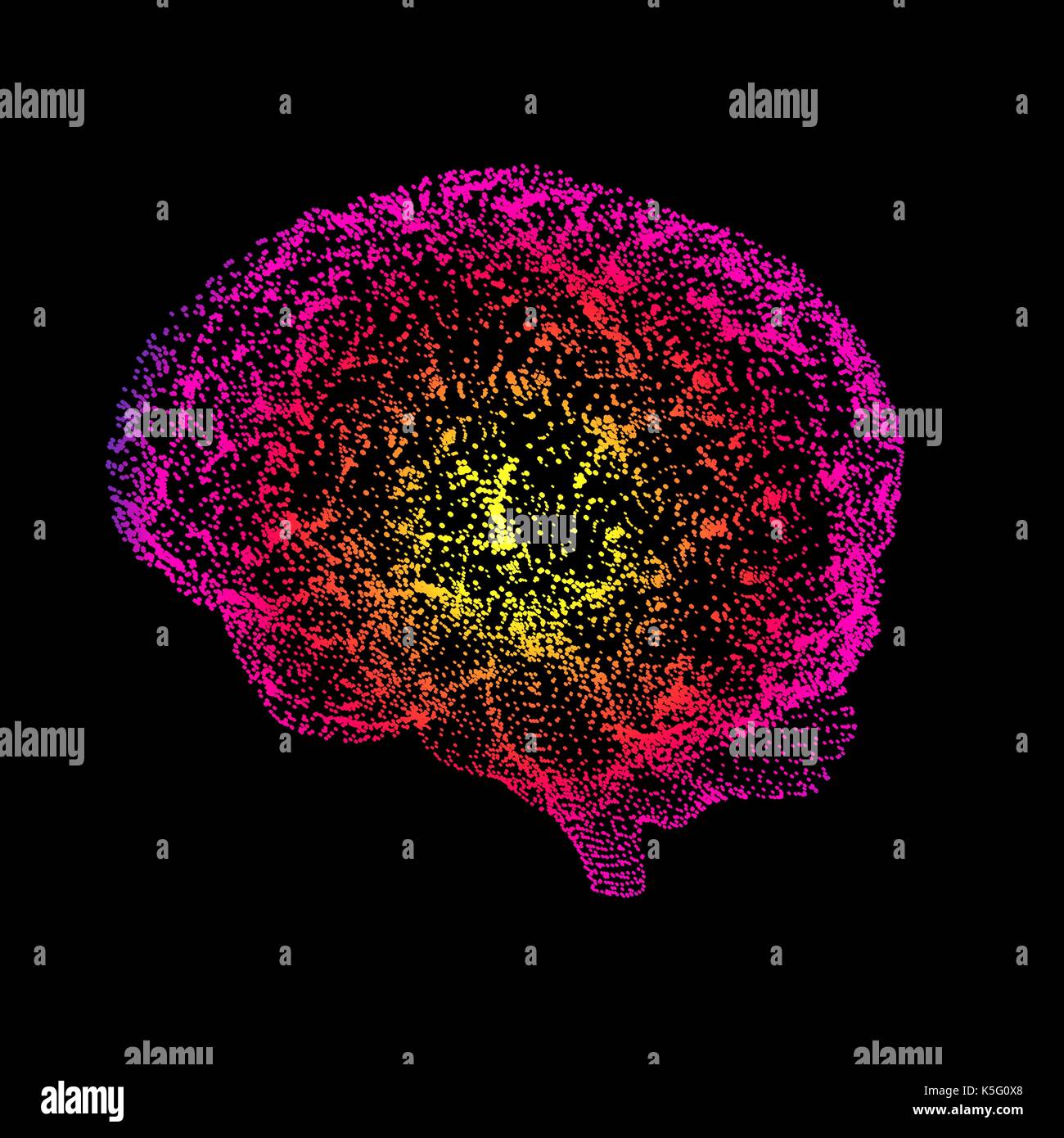 Cervello umano, concettuale computer grafica. Foto Stock
