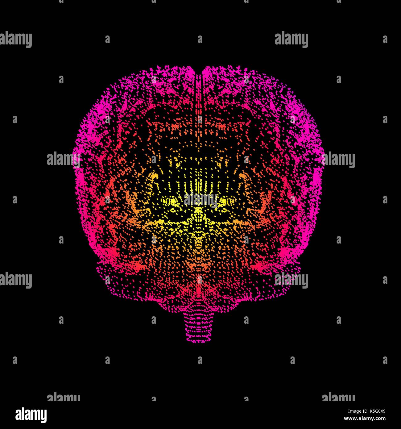 Cervello umano, concettuale computer grafica. Foto Stock