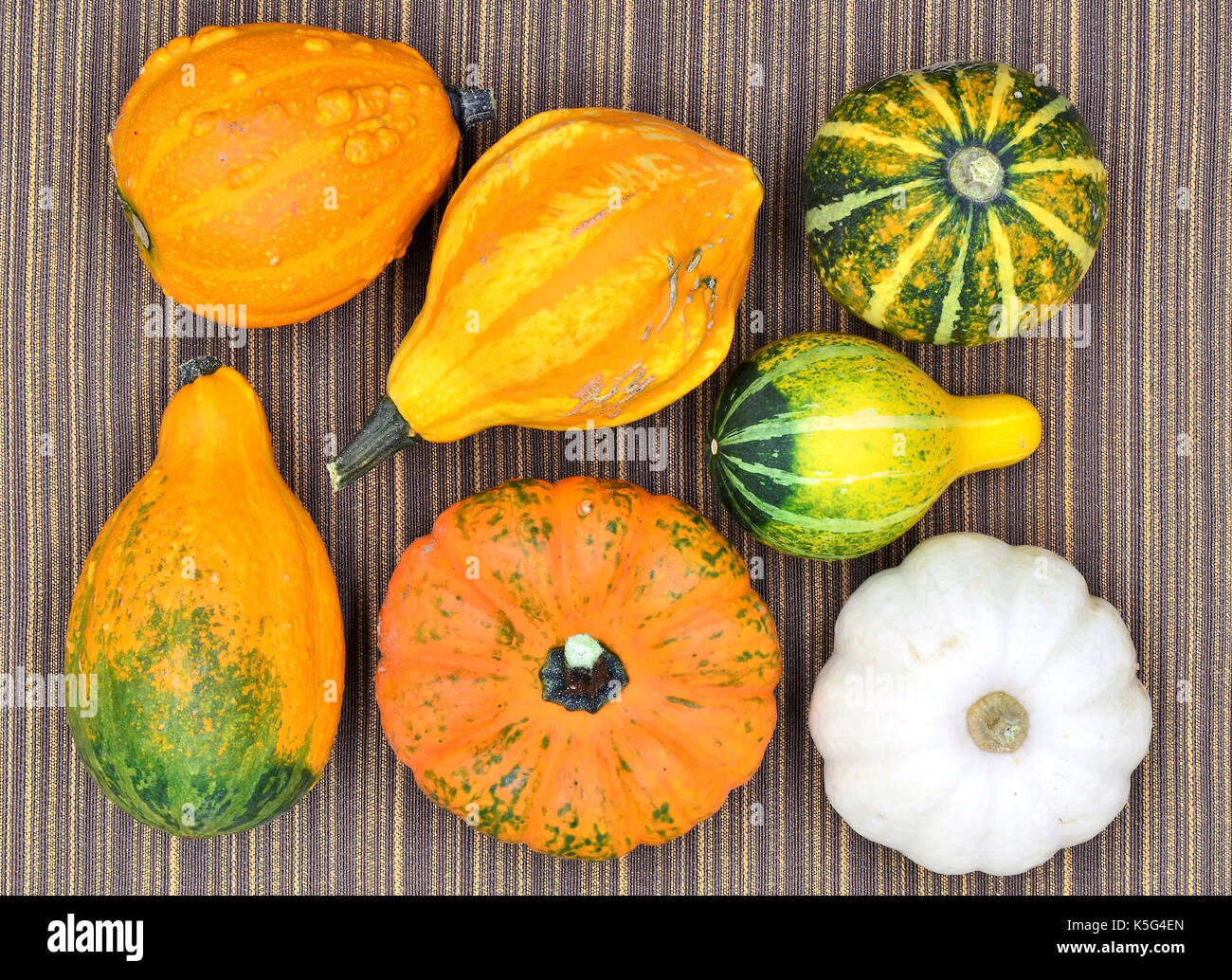 Zucche in una posizione topview close up foto Foto Stock