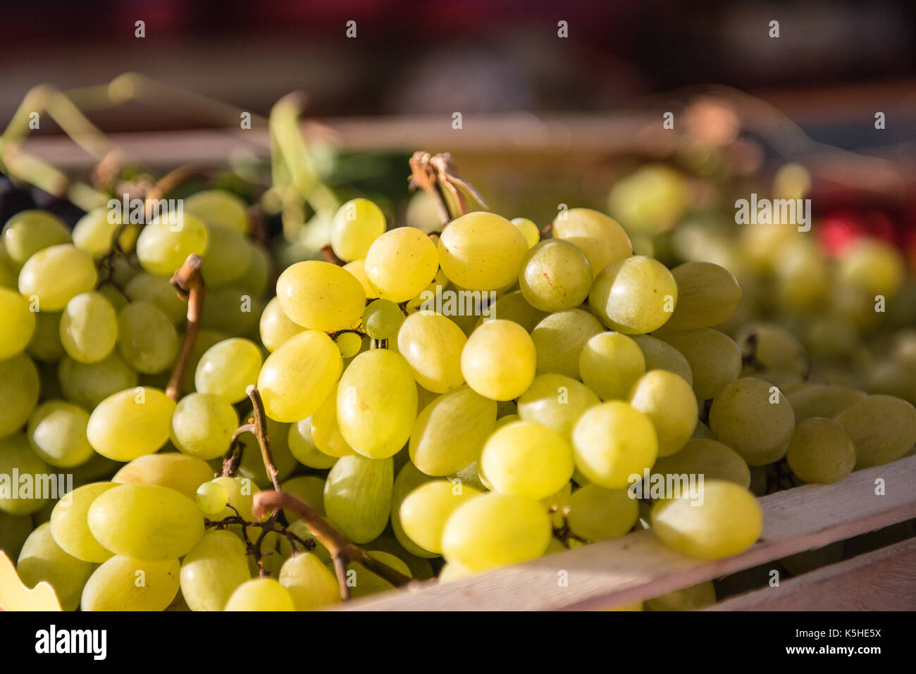 Le uve bianche vicino, mazzo di frutti nel caso di legno focalizzato selettivo Foto Stock