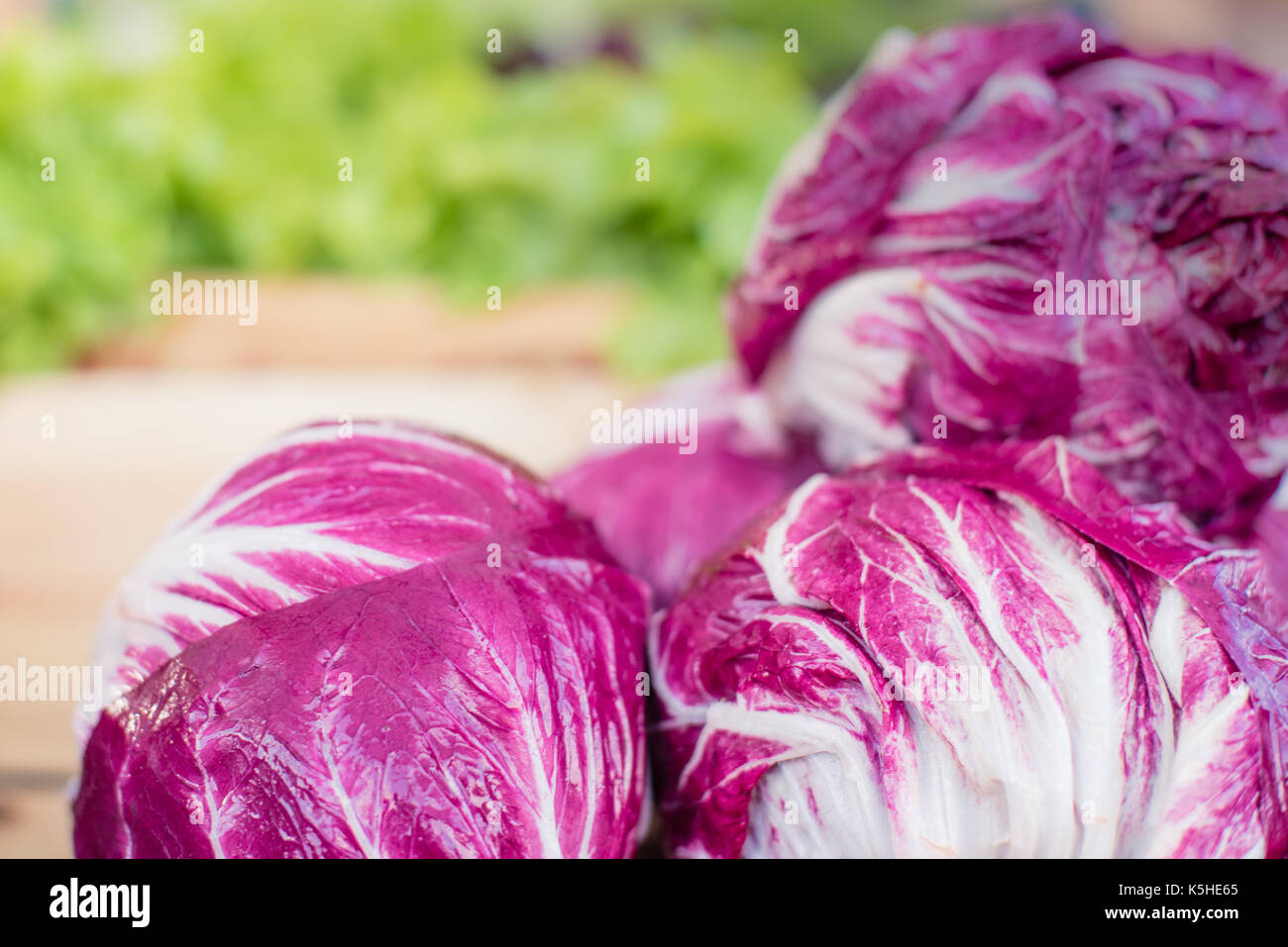 Dettaglio del radicchio rosso insalata di cicoria in stallo di mercato messa a fuoco selettiva con varie verdure colorate in background Foto Stock