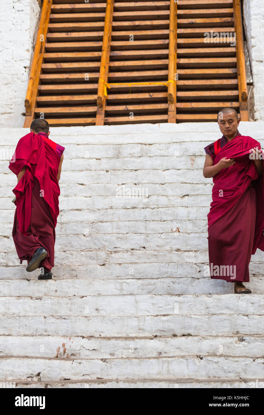 Punakha Drubchen (celebrazione storica) e Tsechu (celebrazione religiosa) a Punakha Dzong, Bhutan occidentale. Foto Stock