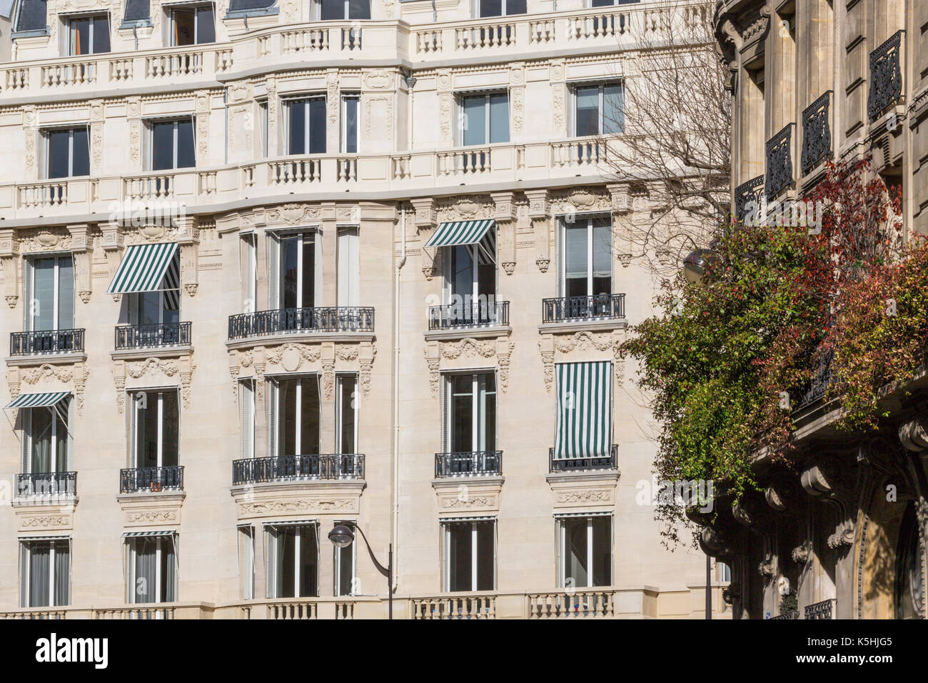 Tipici edifici di appartamenti in Parigi, Francia Foto Stock