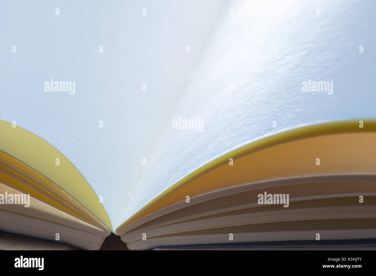 Aprire carta bianca notebook nel drammatico fredde e calde tonalità di illuminazione mostra carta naturale texture, con spazio per il testo o per copiare lo spazio, buona per il concetto di ba Foto Stock