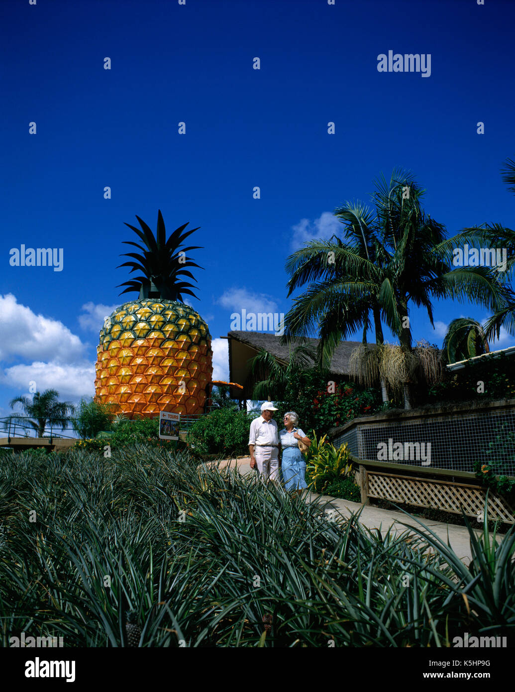Australia. queensland. Sunshine Coast.turisti alla grande ananas. Foto Stock