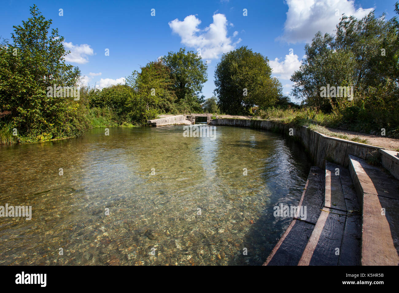 Serratura Shawford sull'Itchen navigazione tra Shawford e Twyford in Hampshire. La serratura è un popolare selvaggia macchia di nuoto. Foto Stock