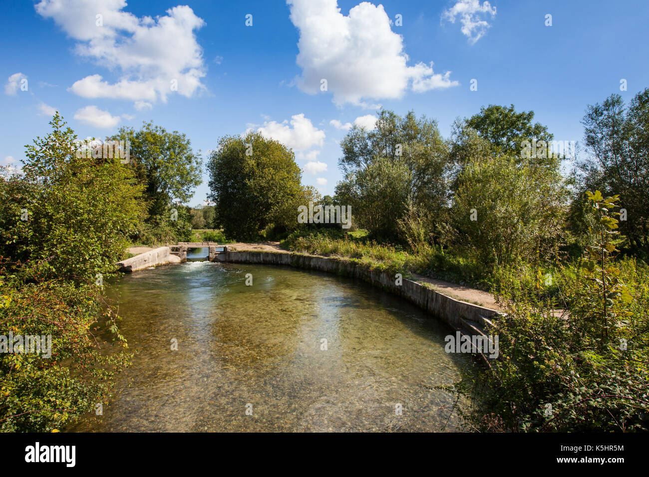 Serratura Shawford sull'Itchen navigazione tra Shawford e Twyford in Hampshire. La serratura è un popolare selvaggia macchia di nuoto. Foto Stock