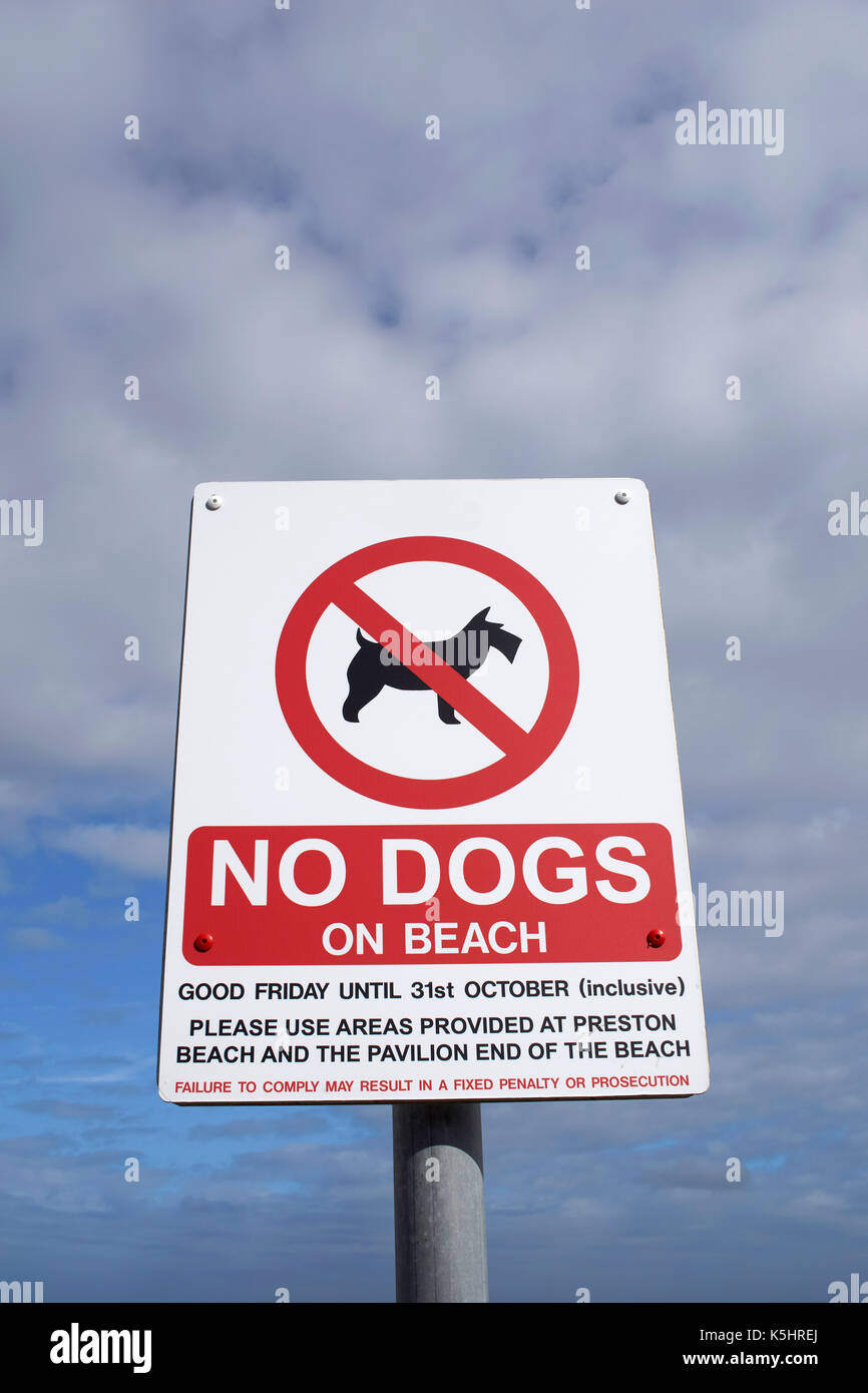Una vista di un segno avvertimento contro di portare i cani sulla spiaggia Foto Stock