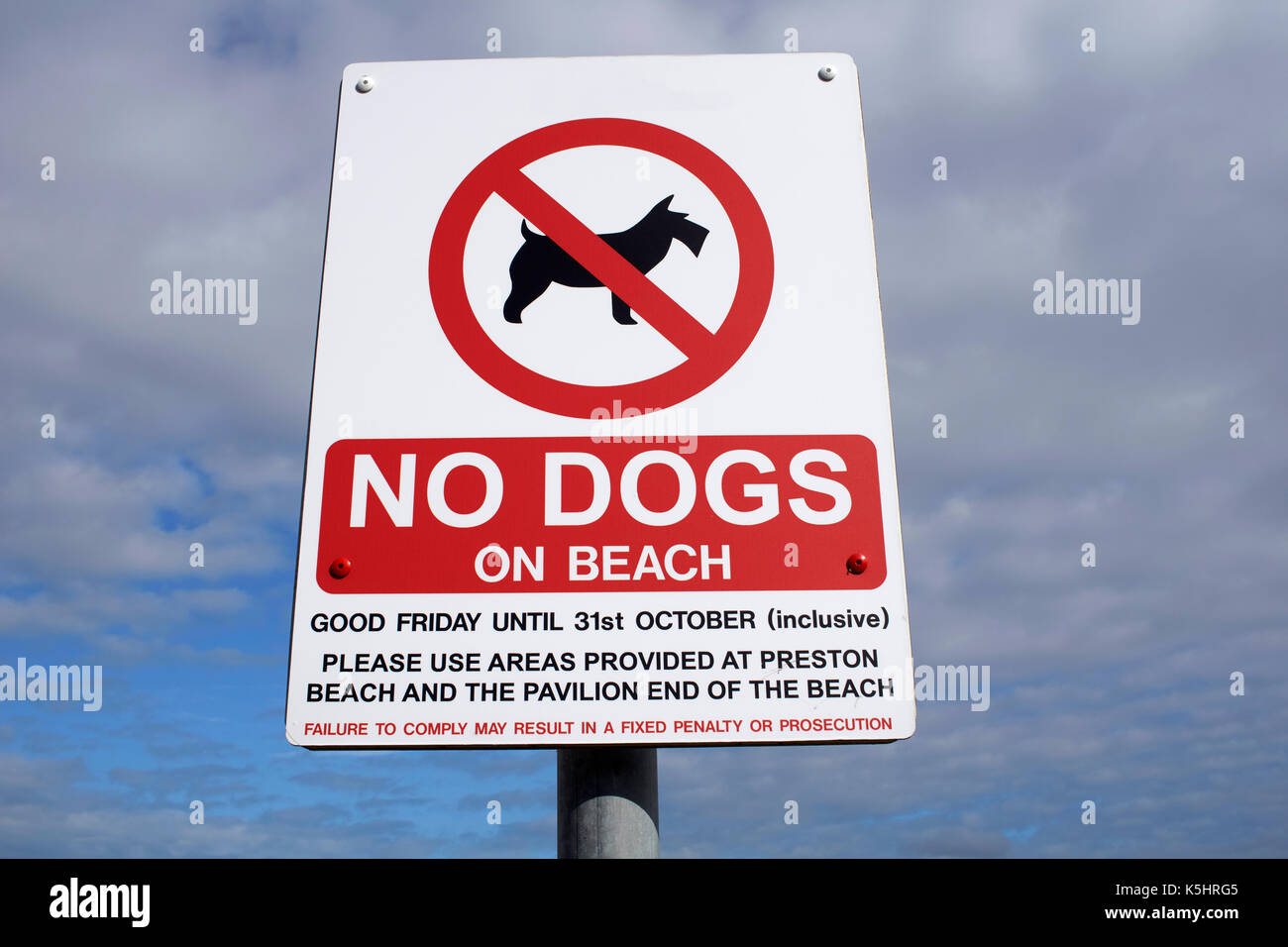 Una vista di un segno avvertimento contro di portare i cani sulla spiaggia Foto Stock
