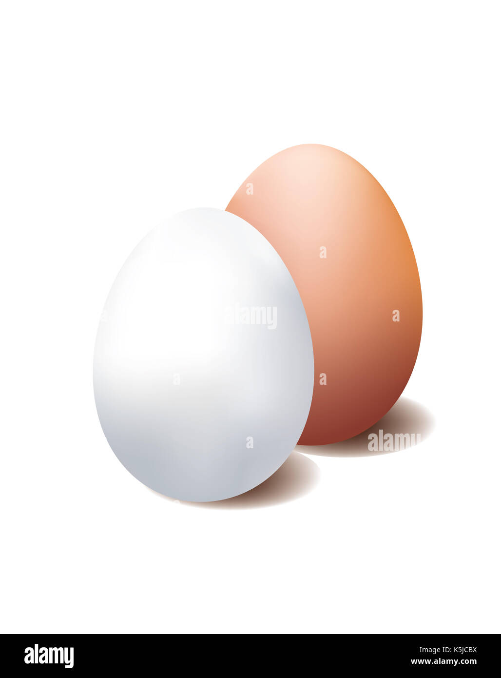 Bianco e Marrone di uovo su sfondo bianco Foto Stock