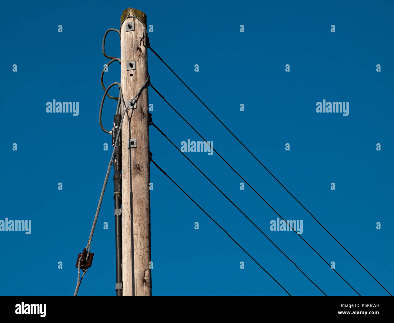 Palo del telegrafo contro un cielo blu Foto Stock