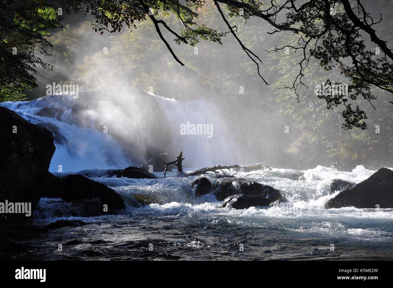 Rapids e la nebbia Foto Stock