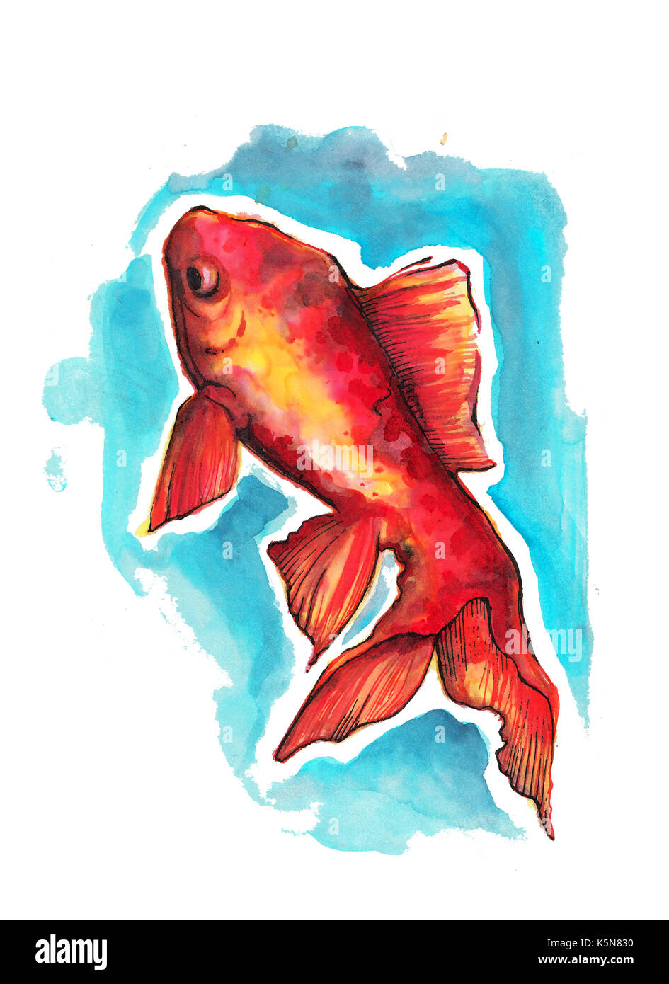 Disegnata a mano immagine o disegno di un giapponese tradizionale pesce acquerello e illustrazione di inchiostro Foto Stock