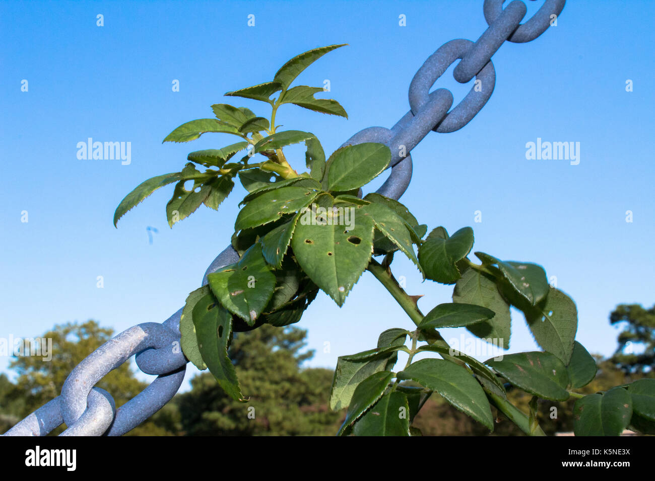 Lunga catena di link immagini e fotografie stock ad alta risoluzione