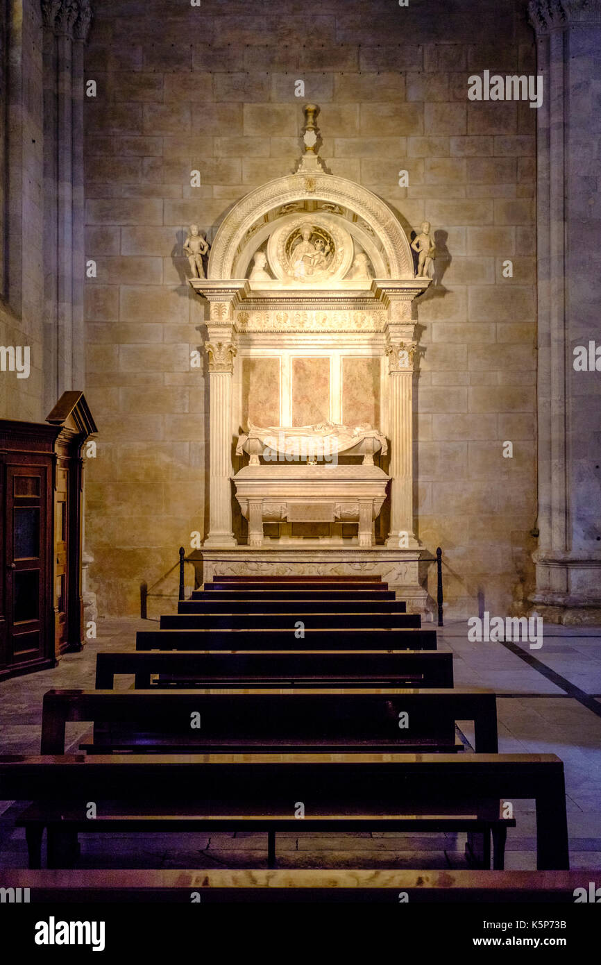 Pietro da noceto il monumento sepolcrale all'interno della cattedrale di lucca, duomo di Lucca, Cattedrale di san martino Foto Stock