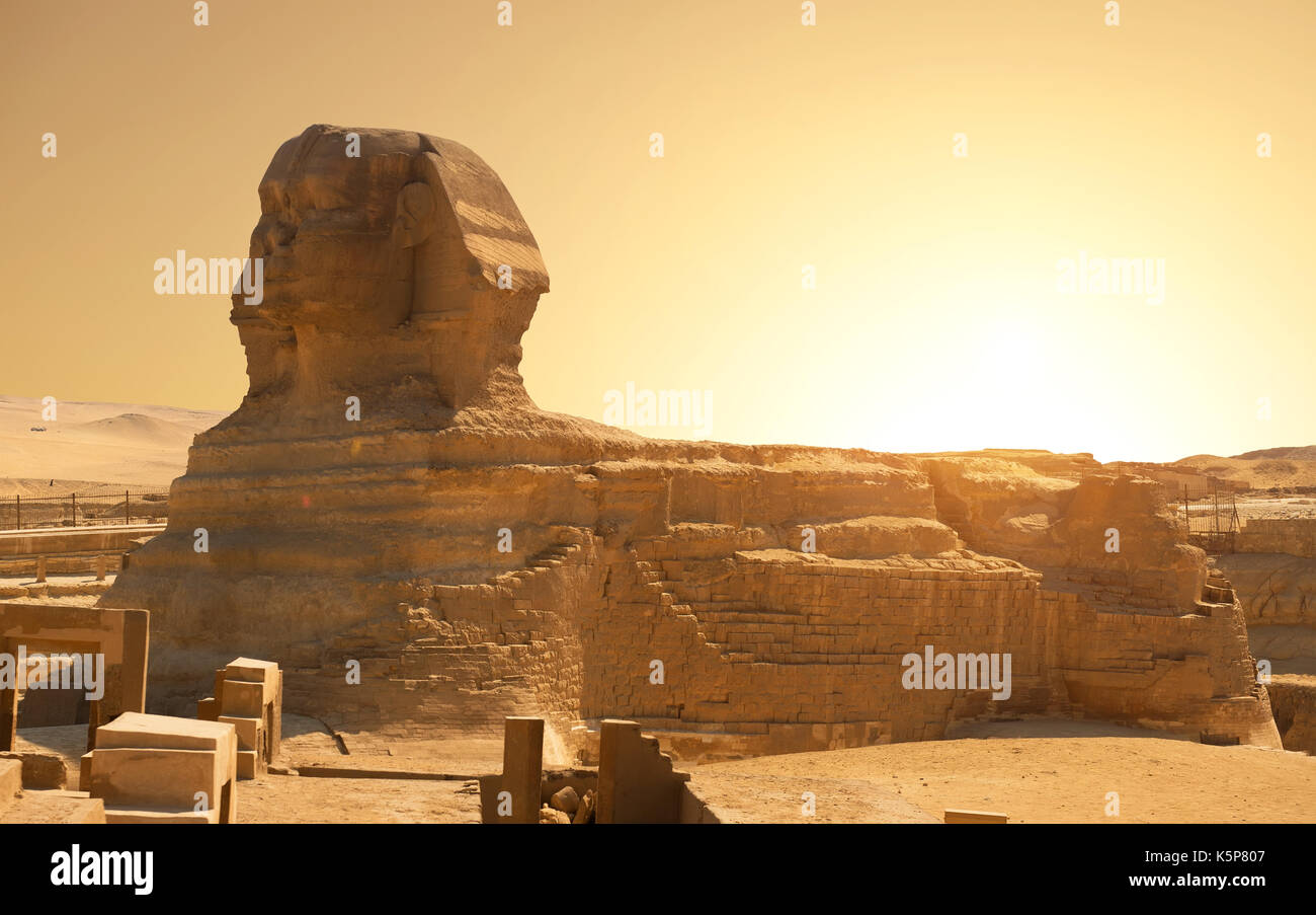 La sfinge nel deserto di Giza in Egitto Foto Stock