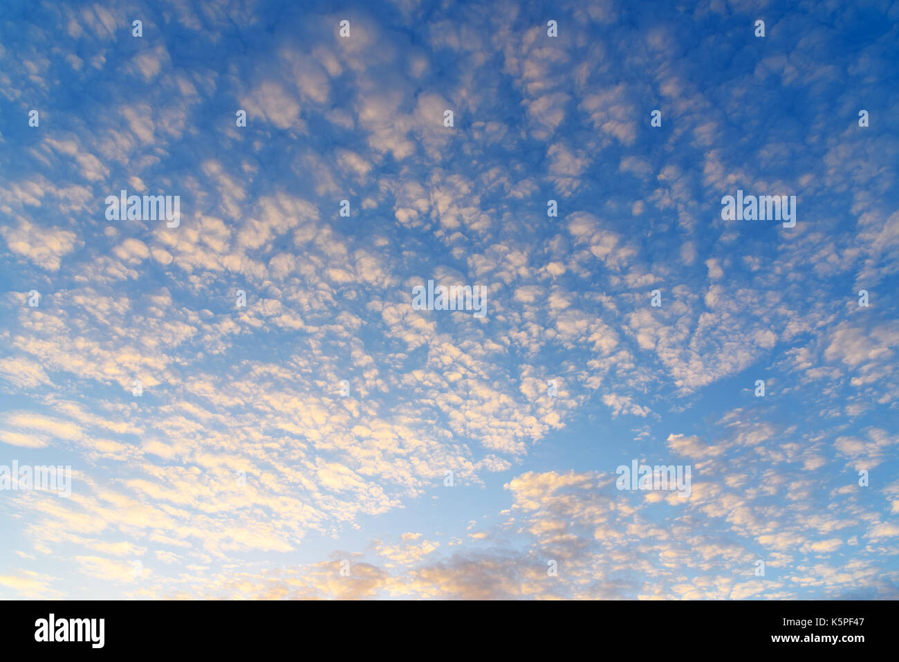 Bella blu cielo mattutino con piccole nuvole Foto Stock