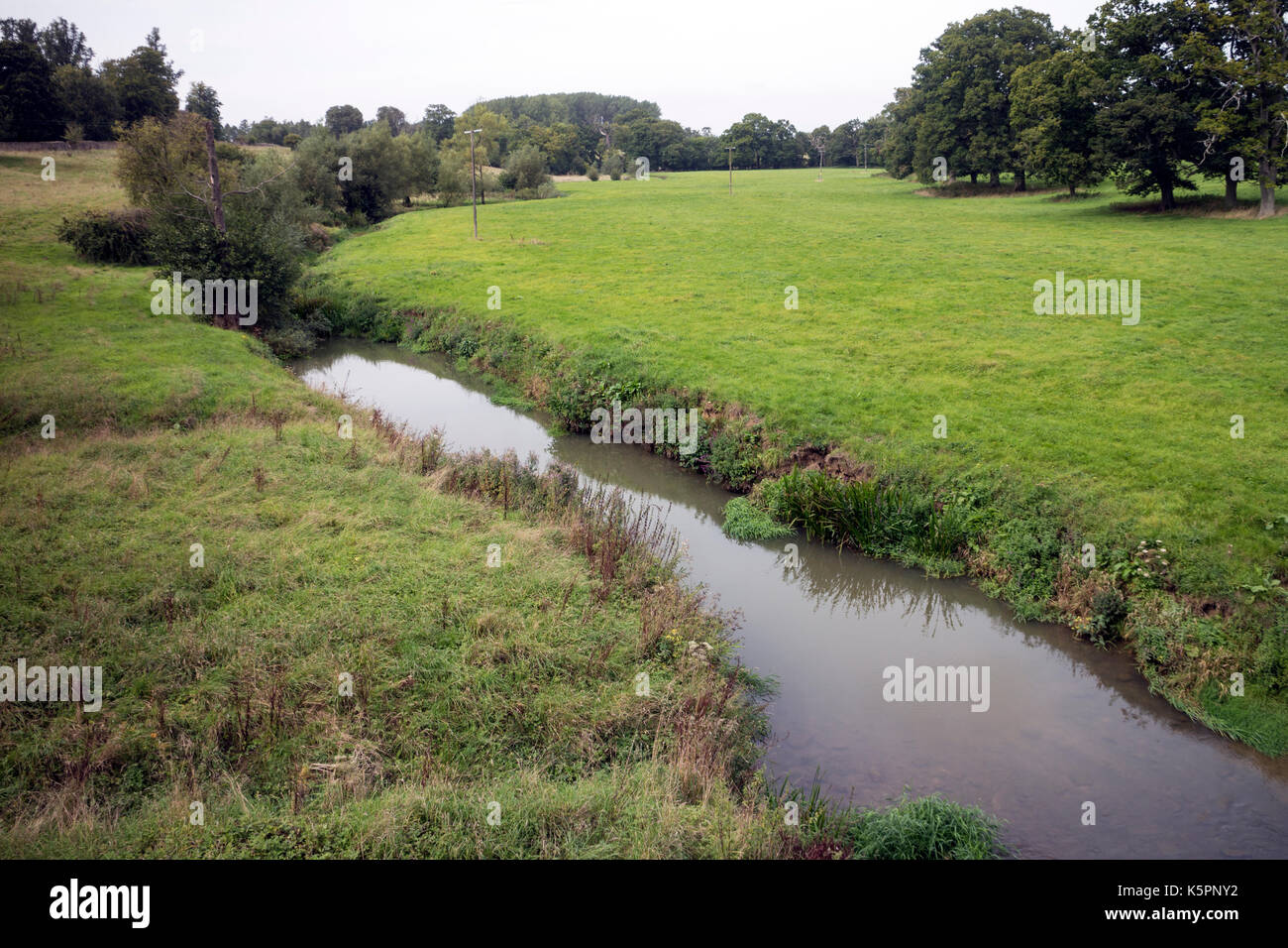 Il fiume Evenlode vicino a Charlbury, Oxfordshire, England, Regno Unito Foto Stock
