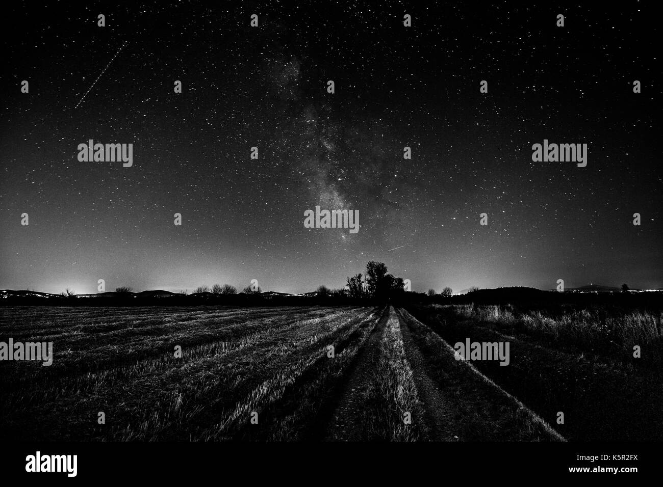 Bellissima vista della via lattea su un campo coltivato e alberi lontani Foto Stock